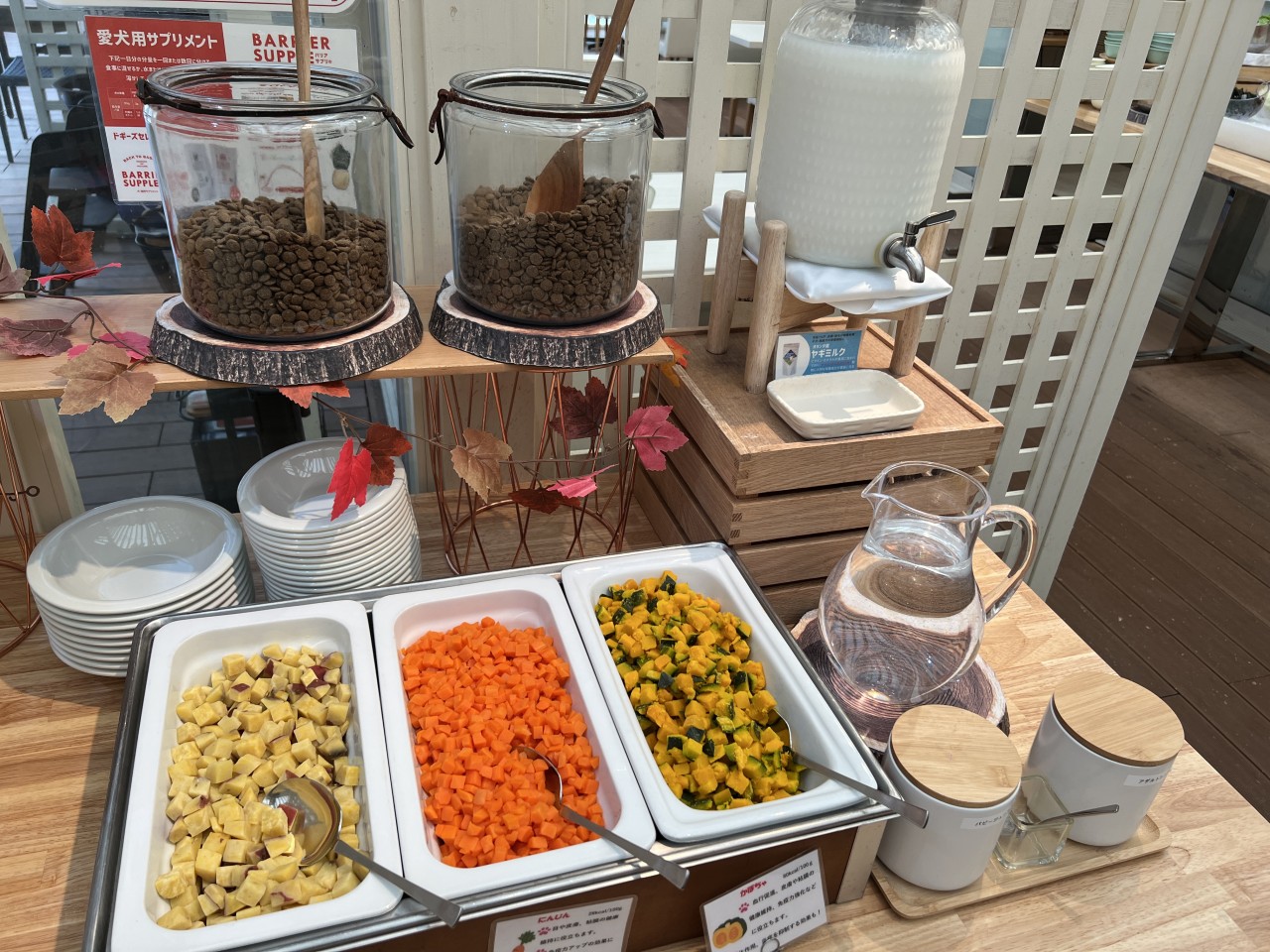 お値下げ 宿泊権利 小谷流の里 ドキーズアイランド 秋のスイートセール