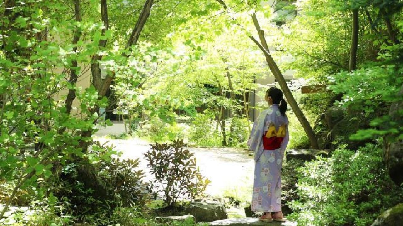 【日本庭園】木陰の涼しい風が心地よい散策路