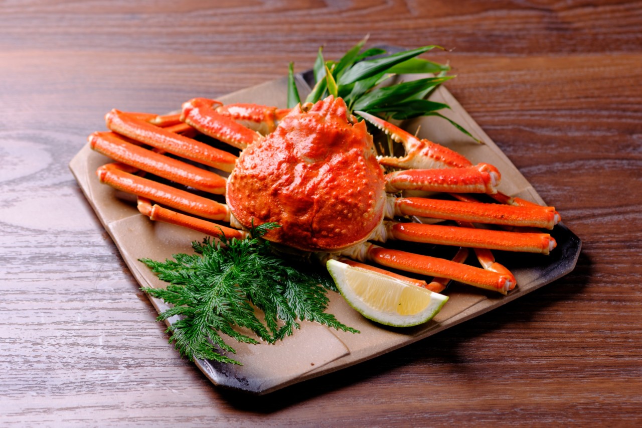 【本ズワイガニ】噛むほどに広がる、茹でたての幸福