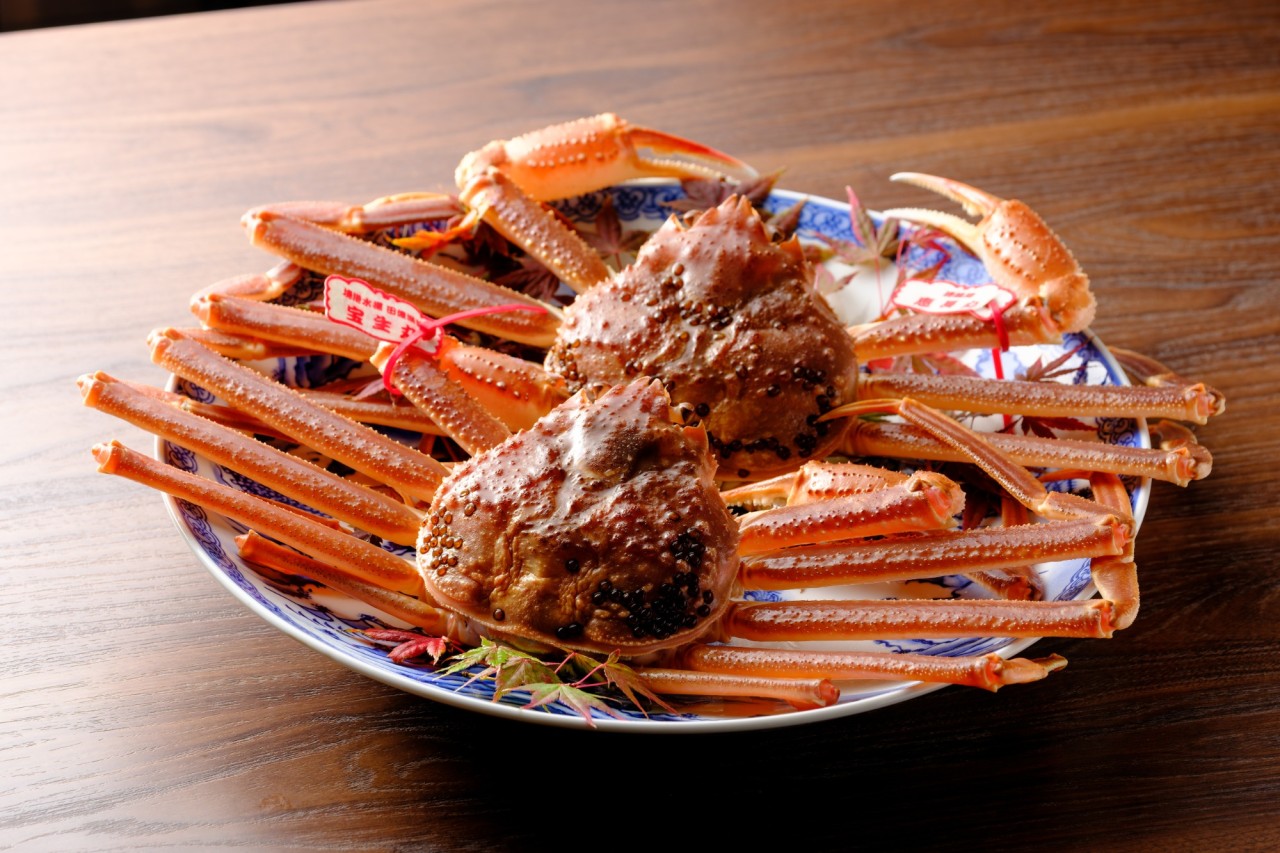 【松葉がに】証が語る、一級の品格。タグ付き松葉ガニの真価を