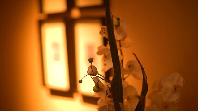 【高層階確約】森を眺める高層階フロアにご宿泊（一泊二食付）